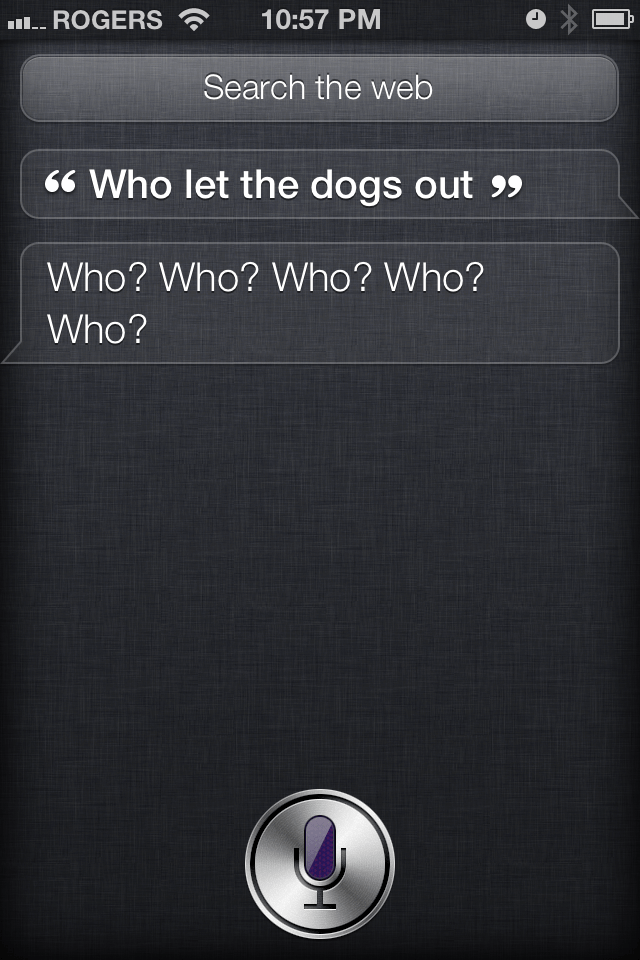 Who Let The Dogs Out